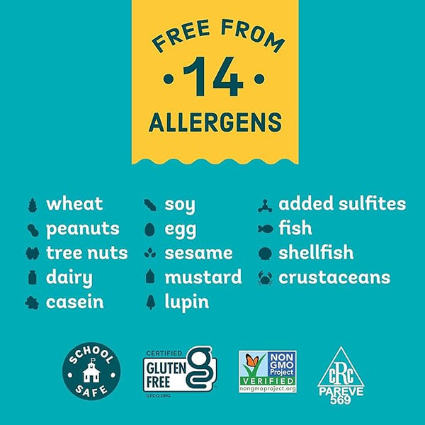 Enjoy Life Mini Chocolate Chips - 3