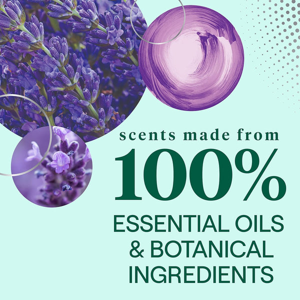 Seventh Generation Natural Laundry Detergent, Fresh Lavender - Case of 6 - 2