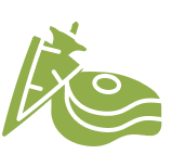 Paleo