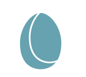 Egg Free